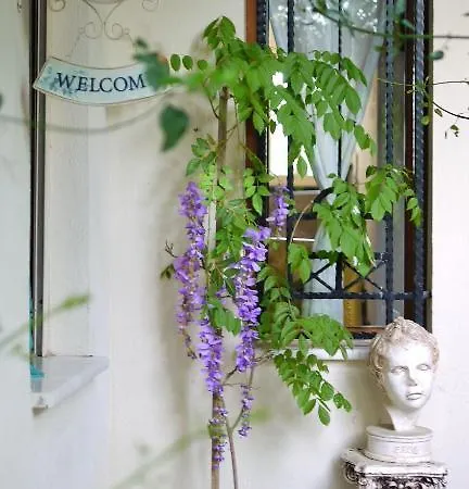Ephesus Suites Inn Selcuk